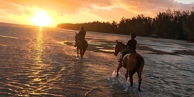 Romantic horseback riding swimming riambel beach (6)